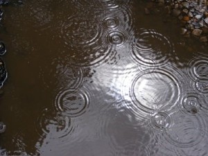 Raindrops in a puddle