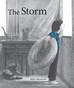 The Storm Cover