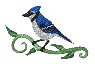 Blue Jay Stitch Preview